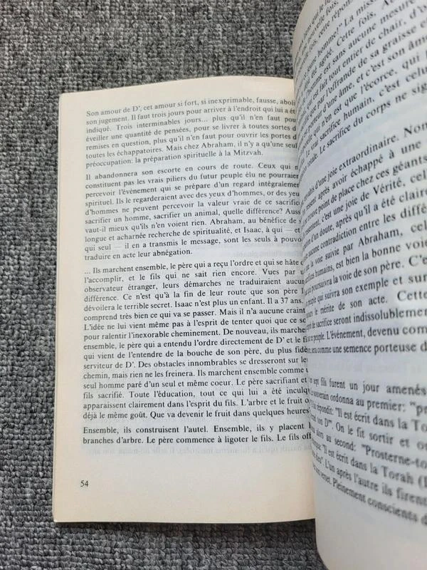 Boek Emounah nr. 10: Joodse gedachte, Thora, Jodendom (Rabbi Shlomo Eliézer Alfand – photo 5